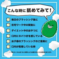 【大容量】キシリブロック オクチミント 22g×3パック オクチのキャンディー 歯磨き後に食べられる ビタットジャパン