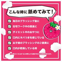 【大容量】キシリブロック オクチイチゴ 22g×3パック オクチのキャンディー 歯磨き後に食べられる ビタットジャパン