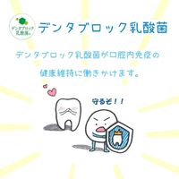 エブリデンタ 歯みがきおやつ チキン味 国産 30g（5g×6パック）1セット（1袋×3）スマック 猫用 おやつ