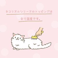 ネコリズム トッピングだけ ささみ 国産 12g（3g×4袋）1袋 スマック キャットフード 猫用 おやつ