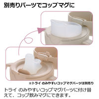 （5ヵ月から）トライ ストロー飲みマスターセット ブラウン 270ml 1個 リッチェル