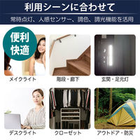 LEDバーライト 日本トラストテクノロジー USB LEDBARライト 3色切替 10cm LEDBARSBT10ー3C 1個