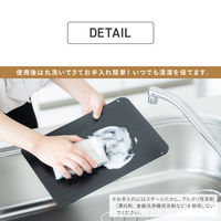 武田コーポレーション 解凍プレートL KPL-BK 1箱(36個入)（直送品）