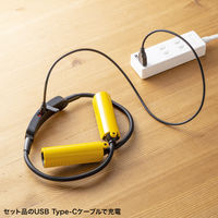 LEDネックライト 充電式 USB 首掛け IP44 調光 フレキシブルアーム サンワサプライ LED-NECK1 1個