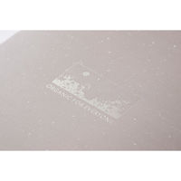 スタイレム瀧定大阪 今治産フェイスタオル OFE1030 1個（直送品）