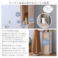 ホームテイスト さわやかなごみ箱一体型食器棚 ごみ箱1つタイプ ホワイトウォッシュ FSK-A1SS 1台（直送品）