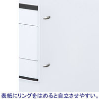 アスクル　リングファイル　A4タテ　D型2穴　背幅41mm　クリアホワイト　白　ユーロスタイル オリジナル（わけあり品）