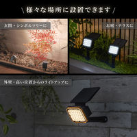 武田コーポレーション 2WAYスポットライト2P LN-S-2WSP2P 1箱(8個入)（直送品）