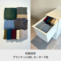 吉川国工業所 クロゼット・システム 引出し(L)2個組 Be CS-D3*2P_Be 1セット