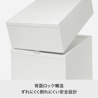 吉川国工業所 クロゼット・システム トレー(L) Bk CS-T6_Bk 1個