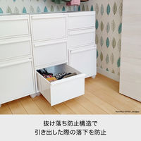 吉川国工業所 クロゼット・システム 引出し(M) AGy CS-D2_AGy 1個