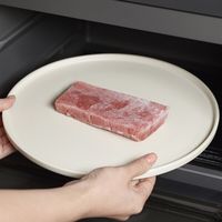 シロカ siroca オーブンレンジ SXー20G251 1個