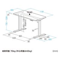 サンワサプライ e電動昇降デスク 受注生産品 幅1100×奥行650mm ホワイト ERD-ER11060W 1台（直送品）