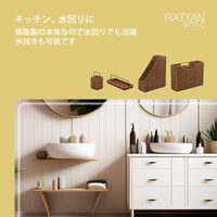 ナカバヤシ ラタンスタイル ファイルボックス RSS-FB01BR 1箱(12個入)