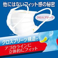 白元アース 快適ガードプロ ふつうサイズ グレースタイル 曇りにくい　使い捨て　バイカラー　プリーツマスク 1袋（15枚入）