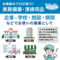 サンコー トイレブラシ 清掃 ピカピカトイレ直洗い 水だけで汚れ落とせる 6x8cm 1箱 20枚入 びっくりフレッシュ H-08