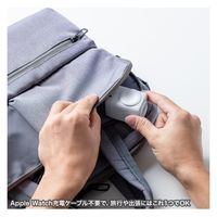 サンワサプライ  USB PD対応AC充電器（PD30W・Apple Watch充電） ACA-PD101（直送品）