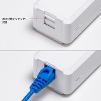 サンワサプライ  カテゴリ6Aローゼットキット（マグネット付き） LA-RZ6A-1N（直送品）