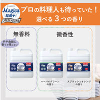 【専用空ボトル付き】CHARMY Magica(チャーミーマジカ) 除菌+ プロフェッショナル ハーバルグリーン 業務用詰替3.8L 1箱（3個入） ライオン