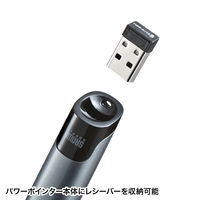 サンワサプライ グリーンパワーポインター LP-RFG110GM 1個