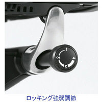 【無料引取付き】CC83BR FPC1|オカムラ コンテッサセコンダ 座クッション ポリッシュ ブラックボディ ブラック 1脚（直送品）