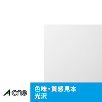 エーワン（A-one）ラベルシール 超耐水 光沢紙 インクジェット 封筒 シール ステッカー A4 24面  10シート  64424