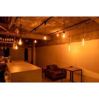 TIC 1灯ペンダントライト カーブ ブラック/チューブ TC-1004-CURVE BK/TU 1セット（直送品）