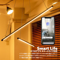 TIC マンクスX　ペンダントライト　ブラック TC-2012-BK 1台（直送品）