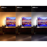 TIC ショートマンクス　LEDバーライト　ホワイト TC-2014-WH 1台（直送品）