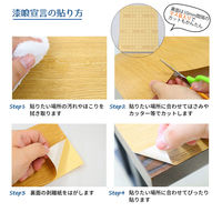 エイ・アイ・エス 抗菌・抗ウイルスシート 漆喰宣言 A4サイズ(21x29.7cm) 3枚入 SSN-003 NA（直送品）