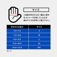 ロックブロス 冬用サイクルグローブ S091-2BK-L 1双（直送品）