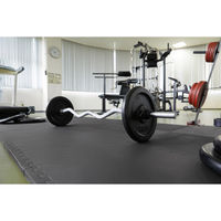 【軒先渡し】アイリスオーヤマ 高硬度ジョイントトレーニングマット 幅450×奥行450×高さ19.5mm 1セット(24枚入)（直送品）