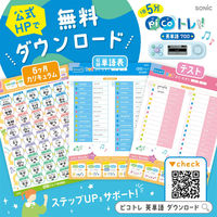 ソニック ピコトレ 英単語700 小学生レベル 1日5分 音でそだてる英語耳 バイオレット PT-2600-V 1セット(1個×3)（直送品）