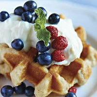 日本マイセラ 業務用 クロテッドクリームプレーン28g 421868 1ケース 28g×24個（直送品）