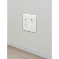 朝日電器 安全コンセントカバー 2連用 ホワイト AN-C02B(W) 1個（直送品）