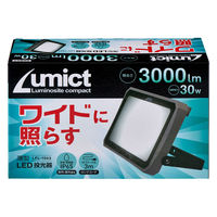 朝日電器 LED投光器 3000ルーメン 昼白色相当 LFL-1003 1個（直送品）