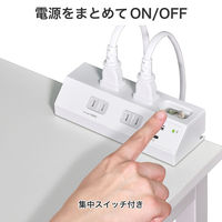 朝日電器 延長コード 耐雷 集中スイッチ付き デスク用 4個口/2m PD20W ホワイト WLS-DS4222SUC(W) 1個（直送品）