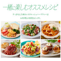 ヱスビー食品 フレッシュハーブティー レモングラス＆ミント 350ml 1箱（24本入）