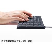 有線キーボード　ラバースイッチ　抗菌防水防塵仕様　スタンダード　ブラック　SKB-BS7BK　サンワサプライ　1個（直送品）