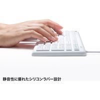 有線キーボード　ラバースイッチ　抗菌防水防塵仕様　スタンダード　ホワイト　SKB-BS7W　サンワサプライ　1個（直送品）