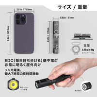 NICRON B74i 首振り 600LM 1個（直送品）