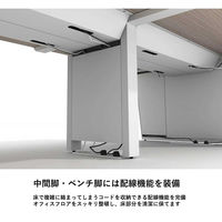 【軒先渡し】LASHデスク ベンチハーフ脚 幅3600×奥行700×高さ720mm ダークアッシュ天板/ホワイト脚 1台（直送品）