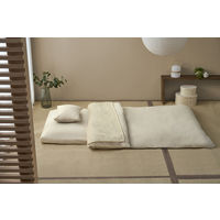 アイリスオーヤマ こだわりマットレス付き布団10点セット グレージュ KFSーKM10S 1セット