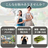 ディーエーピーネットワーク 繰り返し使える 真空保存袋 20枚セット monowa045 1S(20枚)（直送品）