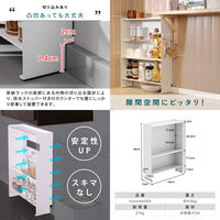 ディーエーピーネットワーク 調味料ラック マグネット スリム3段 可動棚付き monowa064 1個（直送品）