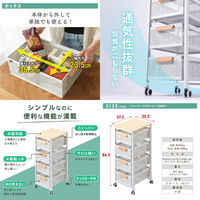 ディーエーピーネットワーク 木目スライドストッカー キャスター&吸盤脚付き ホワイト monowa084-wh 1台（直送品）