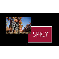 チリ ナティバ カルメネール 赤ワイン　フルボディ　750ml 1セット（1本×12）　日本酒類販売