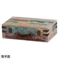 Habiter(アビテ) トランクボックス S ANE-601-AA 1個（直送品）