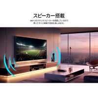 JAPANNEXT 【設置込み】43インチワイド4K液晶モニター 純正スタンドセット JN-HDR432IPSUMJRF-KUMI 1台（直送品）