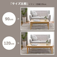 タマリビング ステディ センターテーブル 幅1200×奥行650×高さ380mm ナチュラル 1台（直送品）